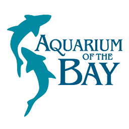 Aquarium of the Bay